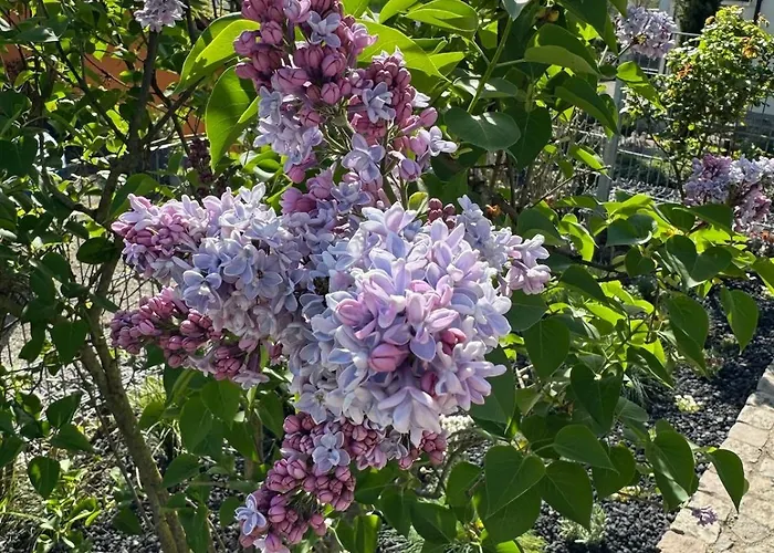 Am Hoehrenberg Apartment